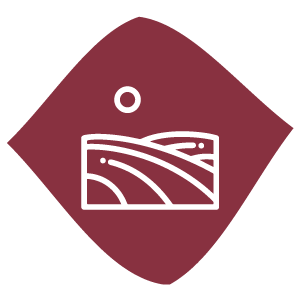acces-aux-vignes-privee-chambre-gamay