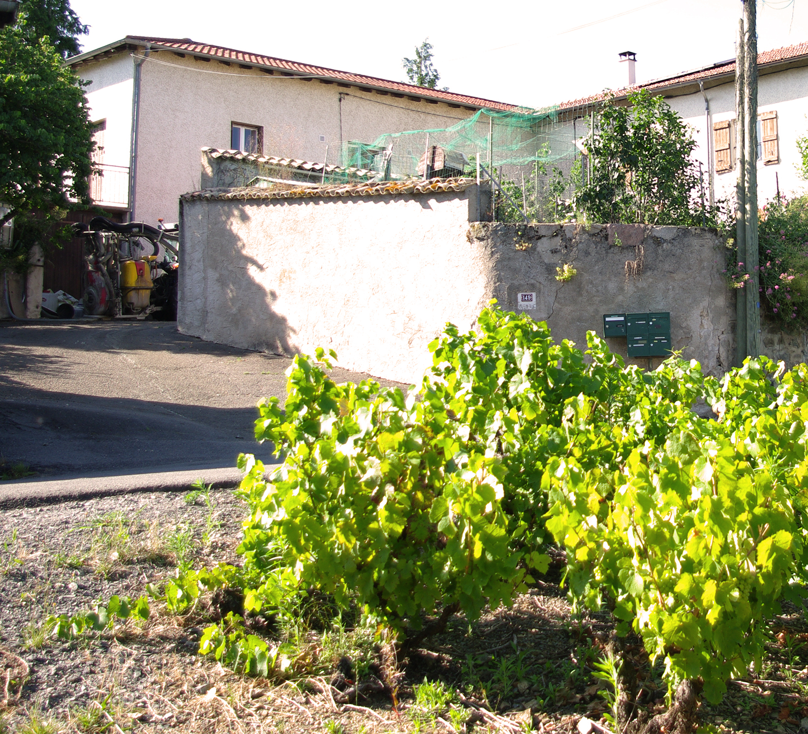 Domaine-le-rosaire-gite-et-chambres-dhotes
